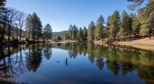 Small quiet lake in Amador County with trees reflecting on the water
