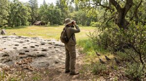Birdwatcher observing California birds near Indian Grinding Rock in Amador County